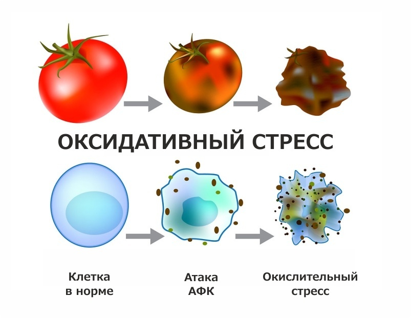 Что делать, если показатели изменены
