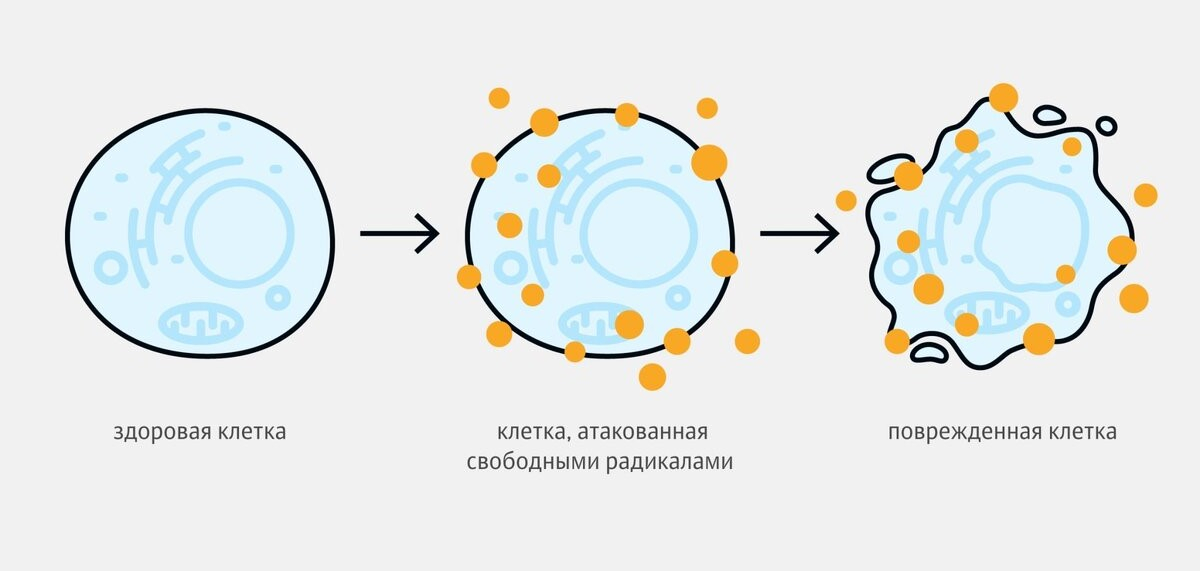 Условия программы